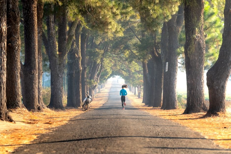 runner road solo